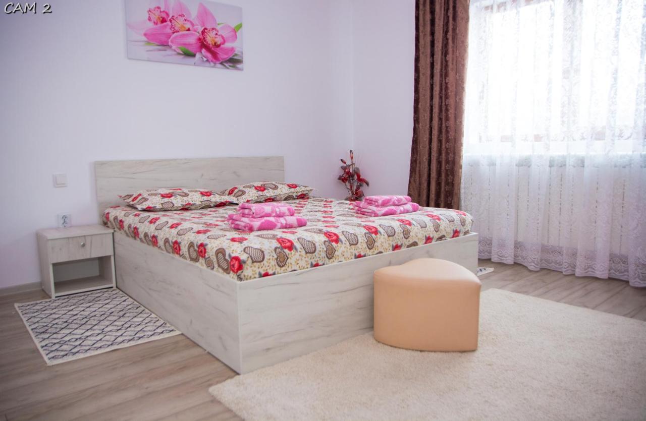 CălimăneştiCasa Stefania 1公寓 外观 照片