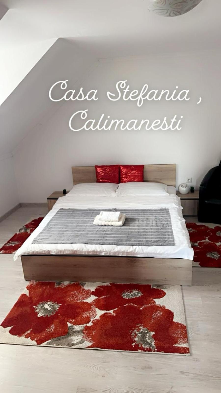 CălimăneştiCasa Stefania 1公寓 外观 照片